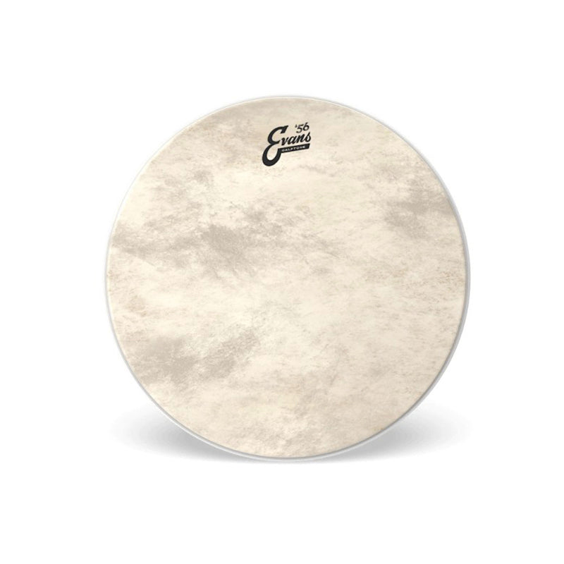 Evans Calftone Bass Drumhead - 20 inch - DRUM HEADS - EVANS - TOMS The Only Music Shop